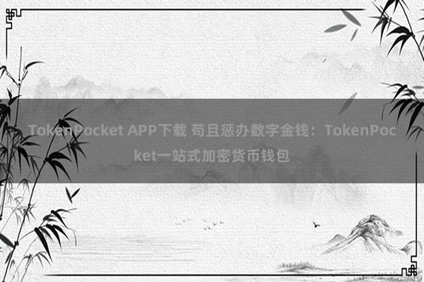 TokenPocket APP下载 苟且惩办数字金钱：TokenPocket一站式加密货币钱包