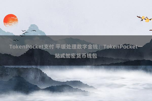 TokenPocket支付 平缓处理数字金钱：TokenPocket一站式加密货币钱包